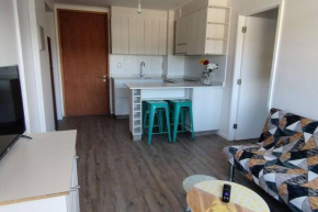 Comfortable and quiet apartment. Pelluco Alto
